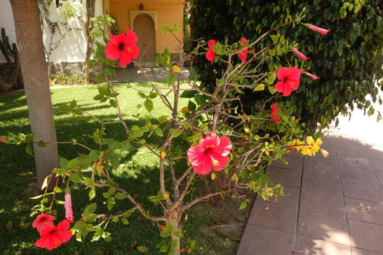 Vera Playa Spain - La Menara Naturist Complex - Eagles Nest - Penthouse Экстерьер фото